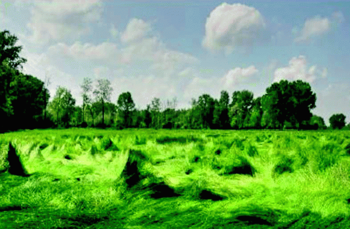 Concorso-Parco-del-Serio Parco del Serio