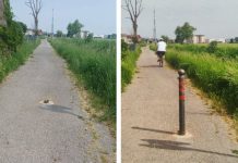 VolonVailate Odv. Paletti divelti e buttati nel fosso, rimessi al loro posto