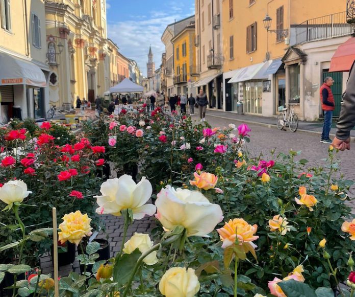 481107884_947717297473292_2044403903229517140_n