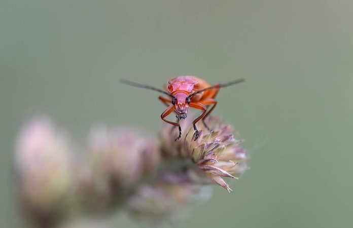 Screenshot_20251214_174514_Facebook